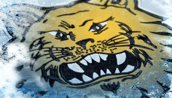 Tampereen Ilves